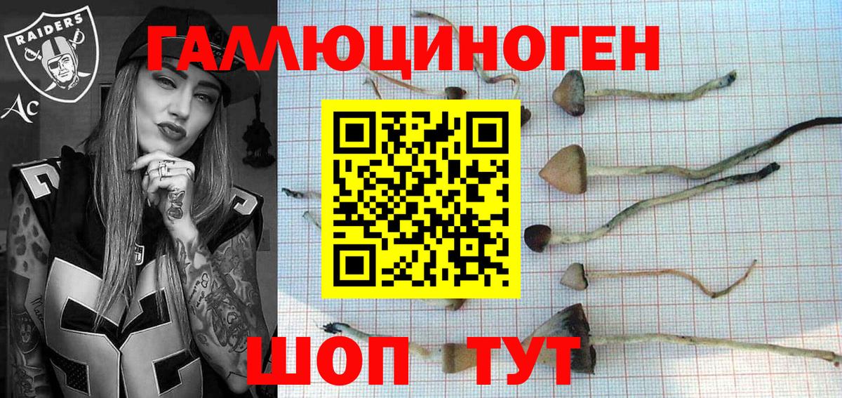 Галлюциногенные грибы MAGIC MUSHROOMS Крымск